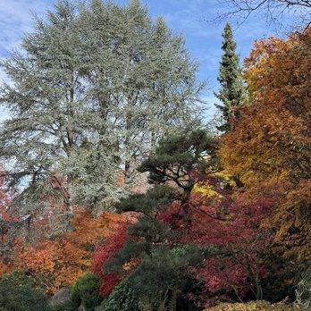 Kubota Garden - Fall colors - Botanical Gardens Near Me - Seattle, Washington