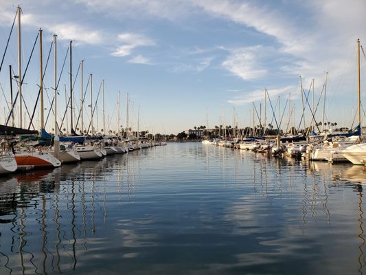 Harbor Sailboats by null