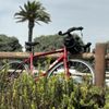 Trek Bicycle Ventura gift card