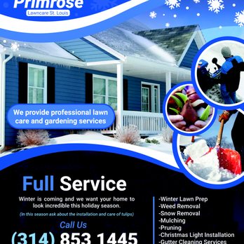 Primrose - #Winter - Lawn Services Near Me - St. Louis, Missouri Primrose - #Winter - Lawn Services Near Me - St. Louis, Missouri