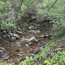 Nature Camp