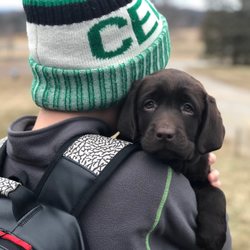 The Best 10 Veterinarians Near Gateway Pet Hospital In Kitchener