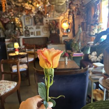 Blooming Floral Cafe - Coffee & Tea Near Me - Tampa, Florida