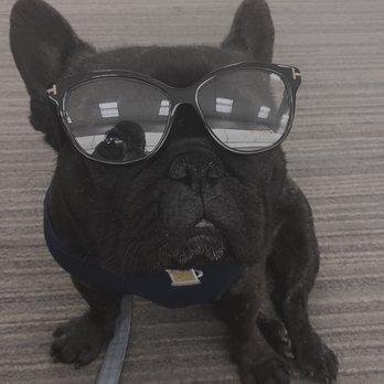LensCrafters - Me rockin my Tom Fords. WOOF WOOF - Eyewear & Opticians Near Me - Oceanside, California LensCrafters - Me rockin my Tom Fords. WOOF WOOF - Eyewear & Opticians Near Me - Oceanside, California