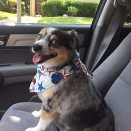 Ready for the 4th of July! Ready for the 4th of July!