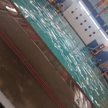 Aqua-Tots Swim School Katy - I love this place and the instructors - Swimming Lessons/Schools Near Me - Katy, Texas