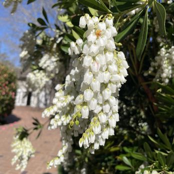Gamble Garden - Venues & Event Spaces Near Me - Palo Alto, California