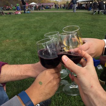 Alba Vineyard - Wineries Near Me - Milford, New Jersey