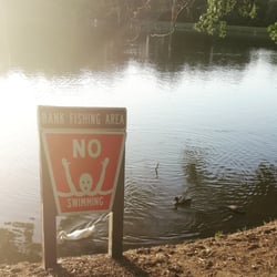 Kernersville Lake Park - No swimming sign as ducks swim by...lol