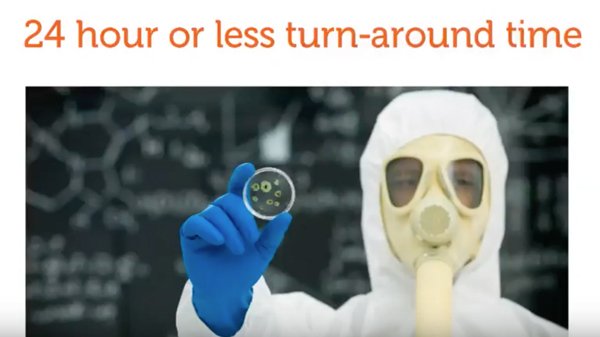 Precision Mold Removal - mold inspector in Miami, FL