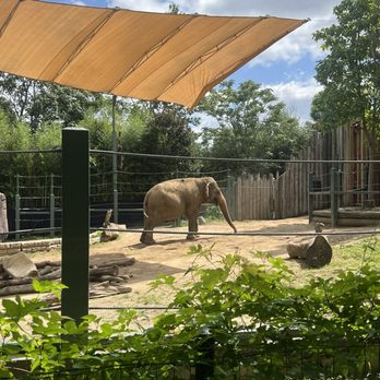 Cincinnati Zoo & Botanical Garden - Elephant pen - Zoos Near Me - Cincinnati, Ohio Cincinnati Zoo & Botanical Garden - Elephant pen - Zoos Near Me - Cincinnati, Ohio