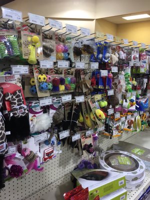 Feeders Supply 315 Baxter Ave Louisville Ky Pet Shops Mapquest