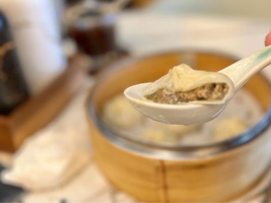Supreme Dumplings by null