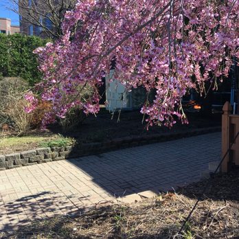 Hudson River Waterfront Walkway - A sure sign of spring! Cherry blossoms along the Hudson - Landmarks & Historical Buildings Near Me Hudson River Waterfront Walkway - A sure sign of spring! Cherry blossoms along the Hudson - Landmarks & Historical Buildings Near Me