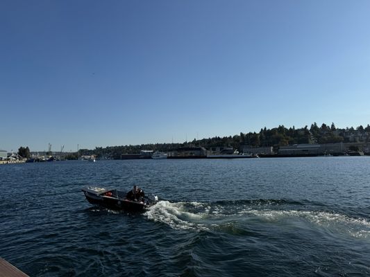 Emerald City Pirates by null