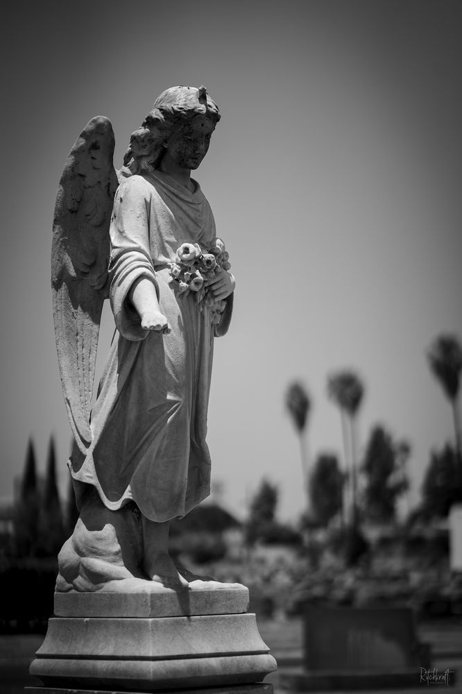 HOME OF PEACE MEMORIAL PARK & MORTUARY 48 Photos 4334 Whittier Blvd