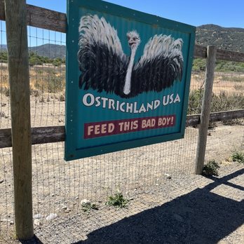 Ostrichland USA - Attraction Farms Near Me - Solvang, California Ostrichland USA - Attraction Farms Near Me - Solvang, California