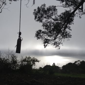 Hippie Tree - Broken rope swing, March 2, 2016 - Hiking Near Me - Tiburon, California