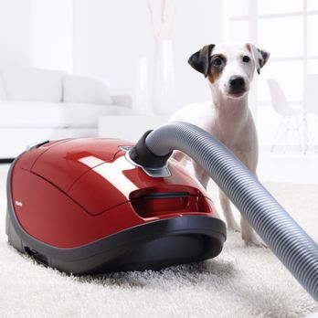 Carolina Vacuums & More - Appliances Near Me - Concord, North Carolina Carolina Vacuums & More - Appliances Near Me - Concord, North Carolina