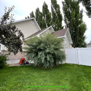 Shape Up - Check out the stunning transformation we achieved with our shrub removal service!
Contact us today: 208 970 5877
www.shapeupidaho.com - Lawn Services Near Me Shape Up - Check out the stunning transformation we achieved with our shrub removal service!
Contact us today: 208 970 5877
www.shapeupidaho.com - Lawn Services Near Me