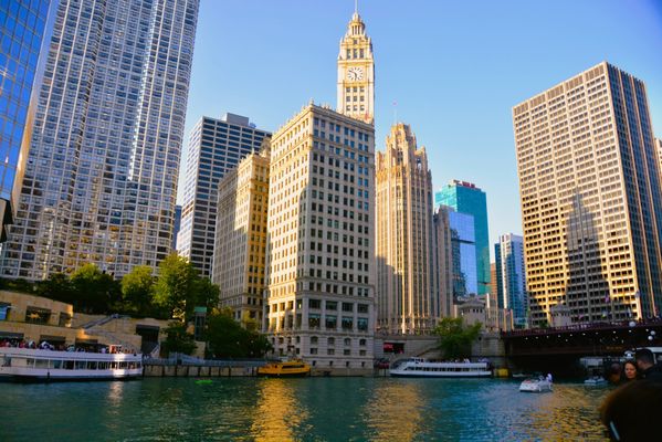 The Wrigley Building by null