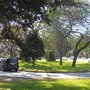 Photo of Oak to Stanyan Northbound Cloverleaf
