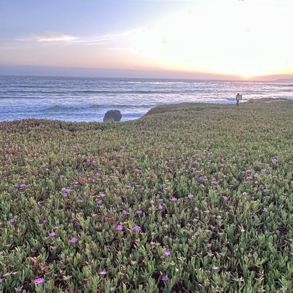 Cavalier Oceanfront Resort - Resorts Near Me - San Simeon, California Cavalier Oceanfront Resort - Resorts Near Me - San Simeon, California