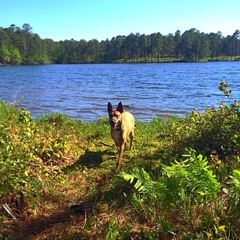 Reservoir Park - Took a little dip in the water after our long run. - Parks Near Me - Southern Pines, North Carolina Reservoir Park - Took a little dip in the water after our long run. - Parks Near Me - Southern Pines, North Carolina