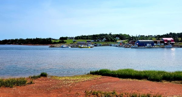 Carr's Oyster Bar by null