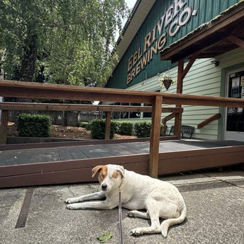 Eel River Brewing - Pubs Near Me - Fortuna, California