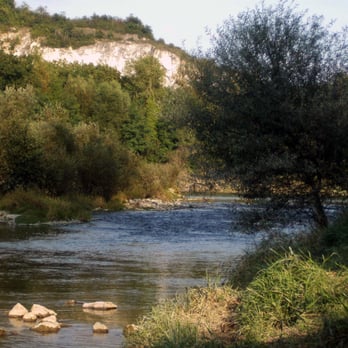 Altrhein - Blick ans deutsche Ufer - Parks Near Me