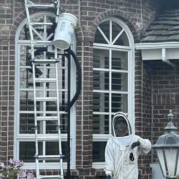 Bee Removal Pros - Our friendly bee catcher Chris - Pest Control Near Me - Murrieta, California Bee Removal Pros - Our friendly bee catcher Chris - Pest Control Near Me - Murrieta, California
