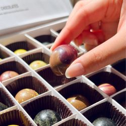 Dallmann Confections - Fall collection
