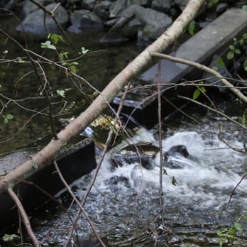 Des Moines Creek Trail - Spillway - Parks Near Me - Des Moines, Washington Des Moines Creek Trail - Spillway - Parks Near Me - Des Moines, Washington