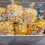 Photo of It's Poppin Gourmet Kettle Korn