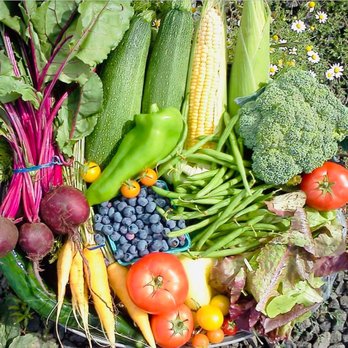 Food Banks - a variety of vegetables in a basket - Food Banks Near Me - Arlington, Washington Food Banks - a variety of vegetables in a basket - Food Banks Near Me - Arlington, Washington