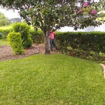 JRC Landscaping - Some of the local yards maintained by JRC landscaping - Landscaping Near Me - Belle Isle, Florida JRC Landscaping - Some of the local yards maintained by JRC landscaping - Landscaping Near Me - Belle Isle, Florida