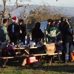 Frosty Mountain Tree Farm - Picnic Area