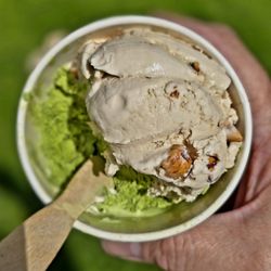 Matcha + Maple Hazelnut