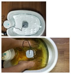 My Exscape and More - Ion Cleanse ( before and after photo)