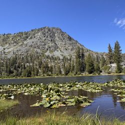 Lily Pond Lake - Lily Lake in South Lake Tahoe