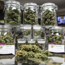 MMJ America - Boulder