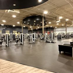 Gold's Gym - Large variety of machine weights