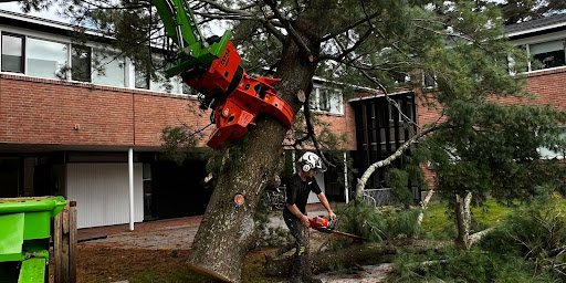 Arborcare Tree Service - tree service in Strafford, NH