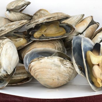 Happy Clam Shack - Clams - Seafood Near Me - Bar Harbor, Maine Happy Clam Shack - Clams - Seafood Near Me - Bar Harbor, Maine