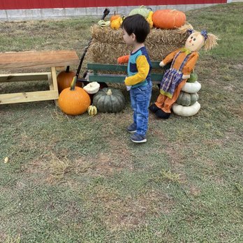 Goober Bubs Orchard and Bakery - Pick Your Own Farms Near Me - Justin, Texas Goober Bubs Orchard and Bakery - Pick Your Own Farms Near Me - Justin, Texas