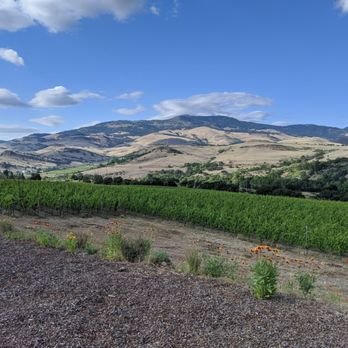 Irvine & Roberts Vineyards - View from the curbside pickup area ain't too shabby - Wine Tours Near Me - Ashland, Oregon
