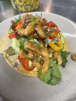 Bombo Los Angeles by null