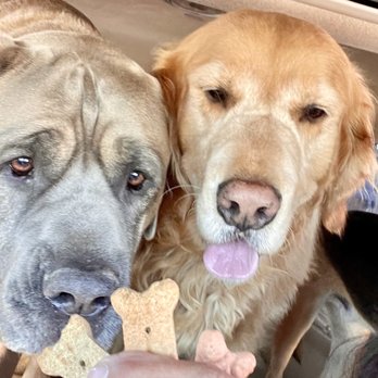 Java Time - Java Time loves fur babies and hands out treats for them too. - Coffee & Tea Near Me - Fallbrook, California Java Time - Java Time loves fur babies and hands out treats for them too. - Coffee & Tea Near Me - Fallbrook, California