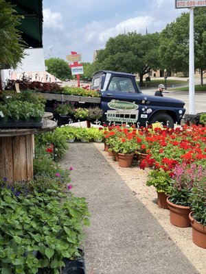 Georgia's Farmer's Market by null